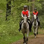 Les Tilleuls Vielsalm