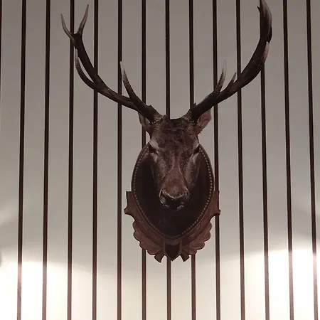 Bed & Breakfast Les Tilleuls