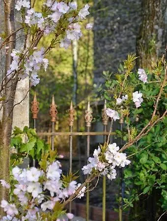 Les Tilleuls 4* Vielsalm