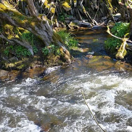 Oda ve Kahvaltı Les Tilleuls Vielsalm