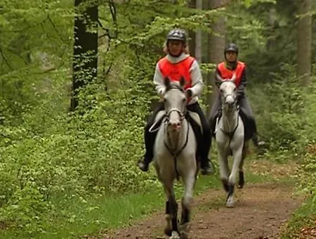 Les Tilleuls Vielsalm