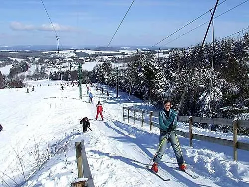 فندق مبيت وإفطار Les Tilleuls 4*